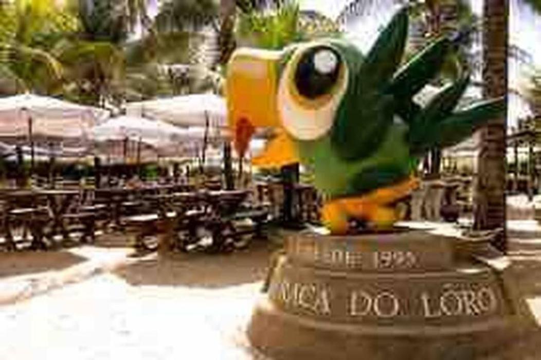 Pé na Areia Vista Total Mar - O Paraíso é aqui! Salvador Extérieur photo